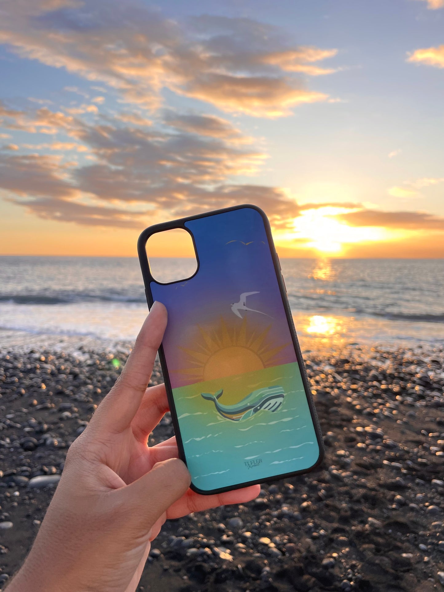 Coque "Baleine"